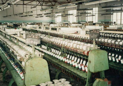 吳江民營經(jīng)濟(jì)領(lǐng)跑江蘇 財務(wù)咨詢的關(guān)鍵角色